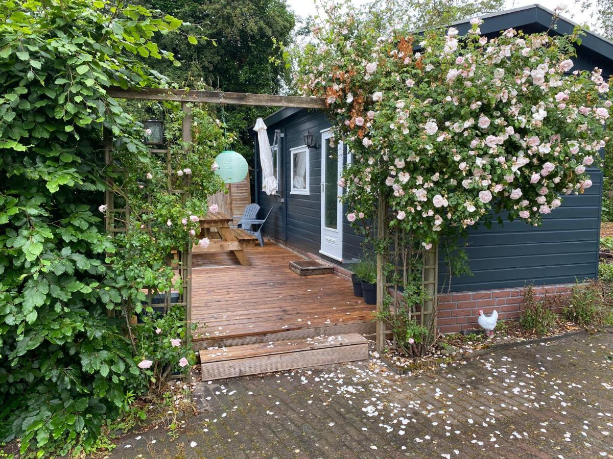 Camping Tante Bob & De Rakkertjes Hotel Schoonoord Kültér fotó